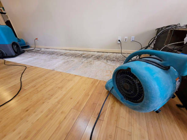 Professional Basement Flood Cleanup technician working in Harrisburg, OH